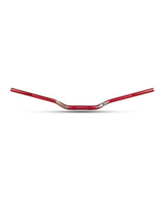 Guidon Trial S3 World Team Replica