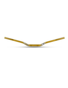 Guidon Trial S3 World Team Replica