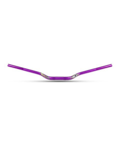 Guidon Trial S3 World Team Replica