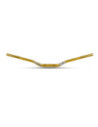 Guidon Trial S3 World Team Replica