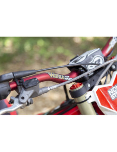 Guidon Trial S3 World Team Replica