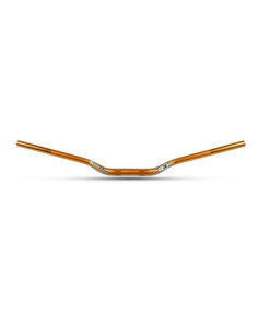 Guidon Trial S3 World Team Replica
