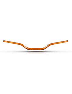 Guidon Trial S3 World Team Replica